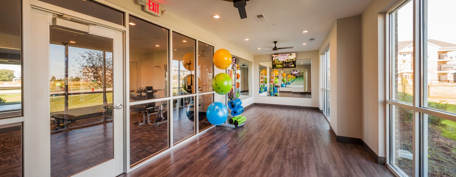 a room with exercise balls and a glass door